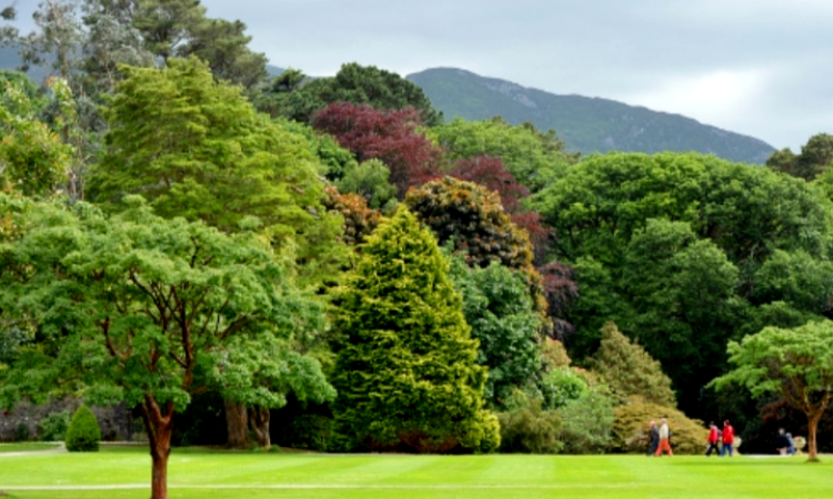 menu popsicleicecream, makanan popsicleicecream, kuliner popsicleicecream, keunikan popsicleicecream, rekomendasi popsicleicecream